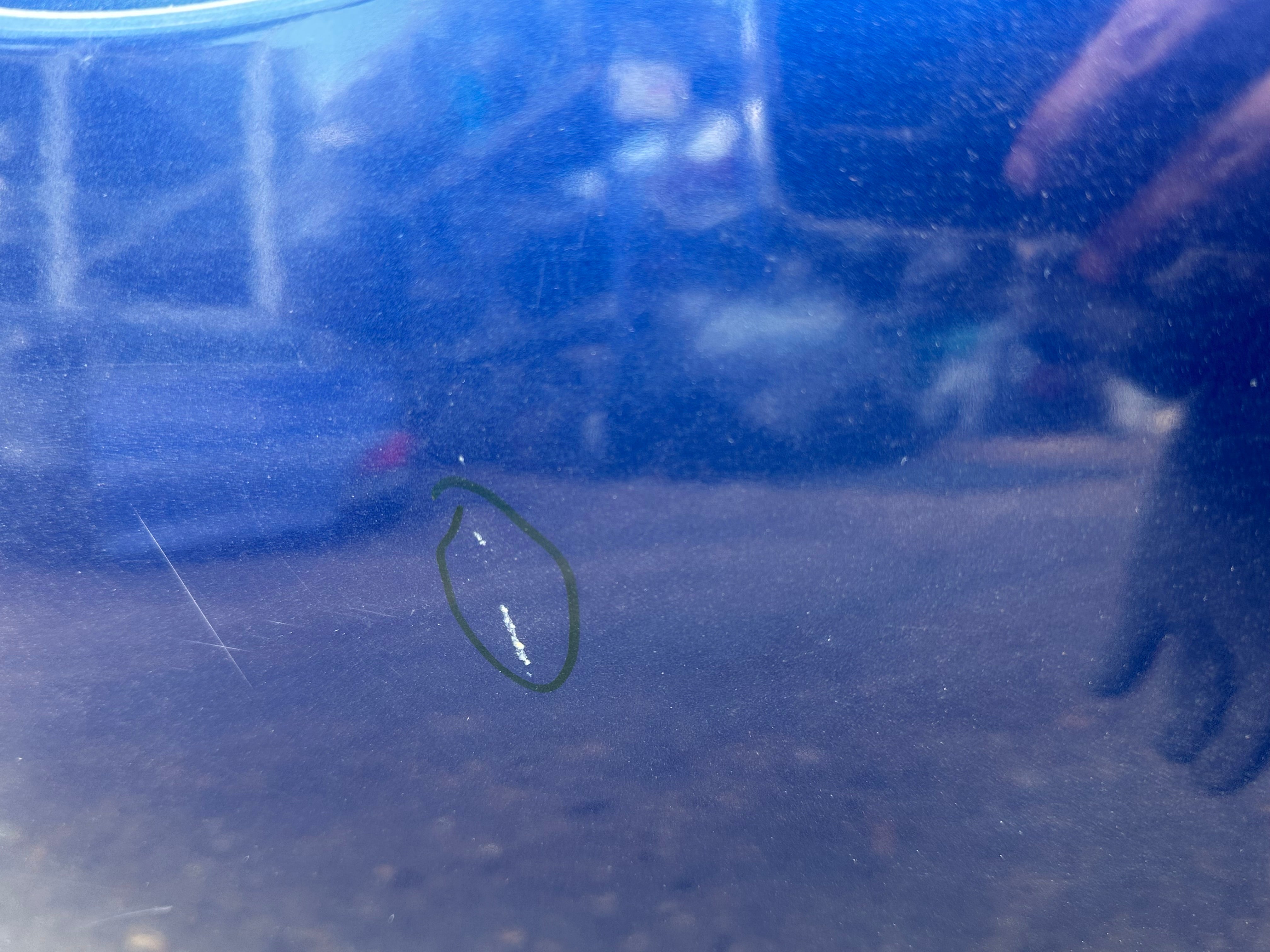 Honda Civic 2013–2017 O/S/F Right Front Door