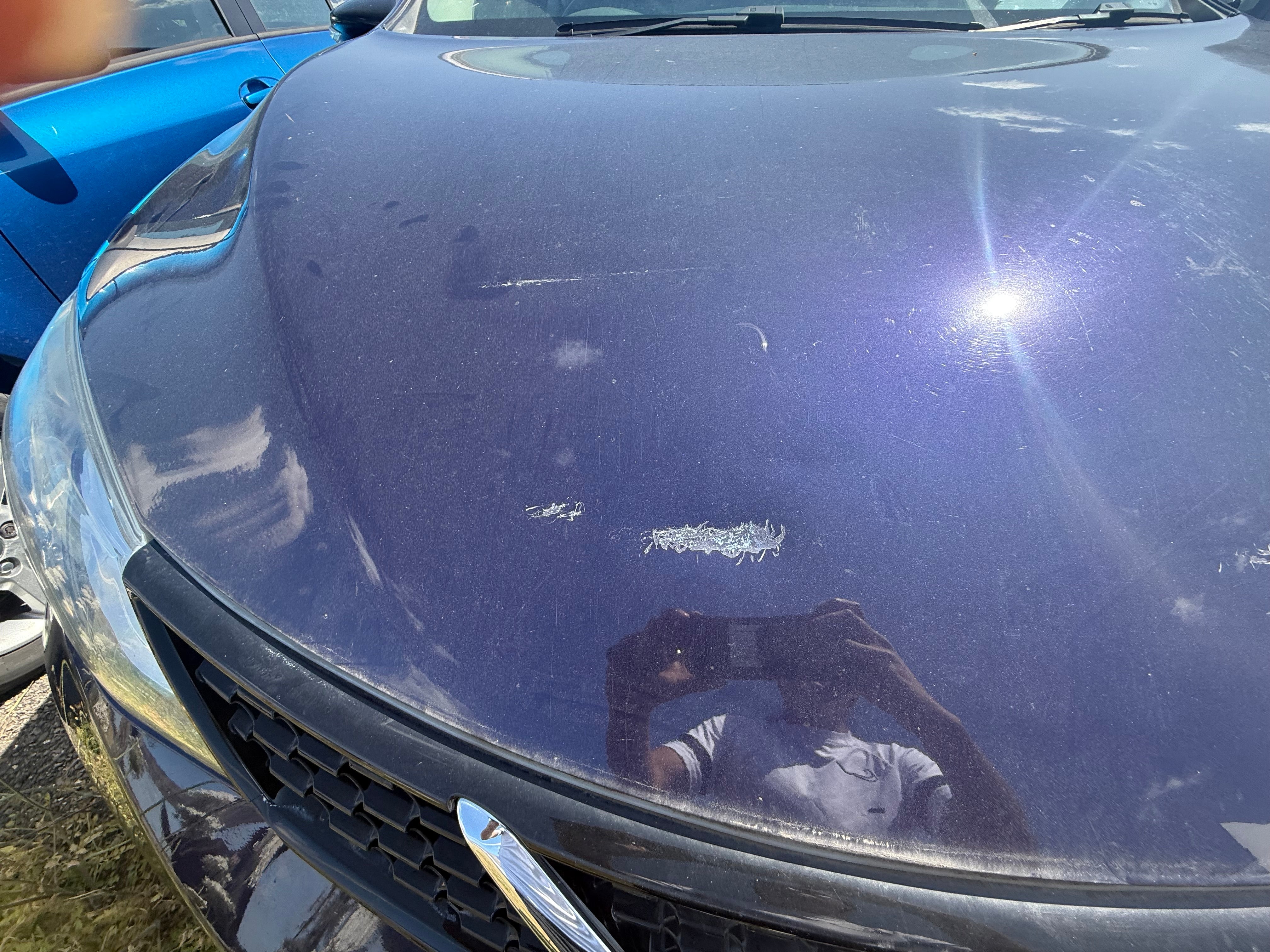 Nissan Pulsar 2014–2018 Bonnet - Colour Code: RBR Cosmic Blue