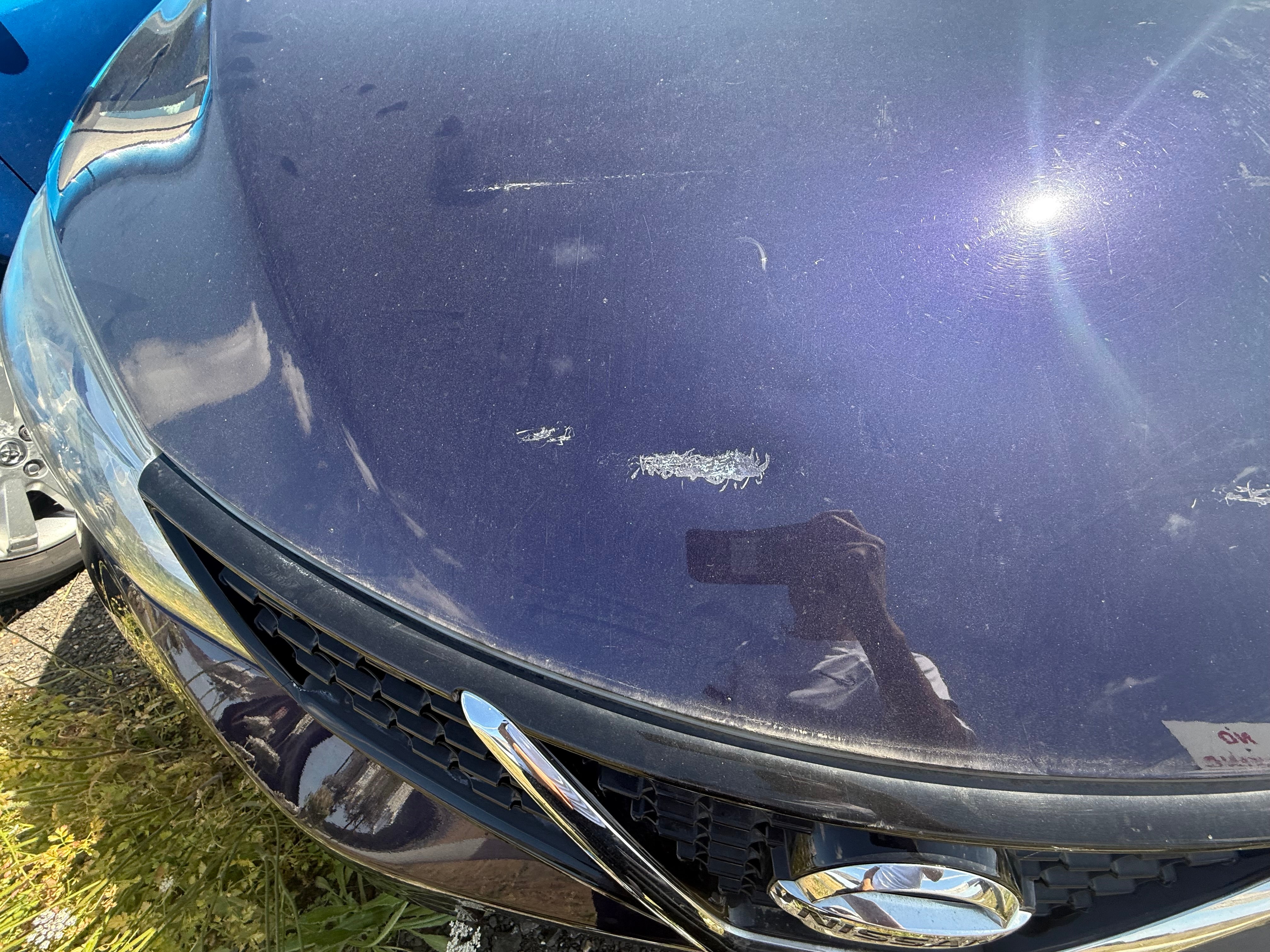 Nissan Pulsar 2014–2018 Bonnet - Colour Code: RBR Cosmic Blue