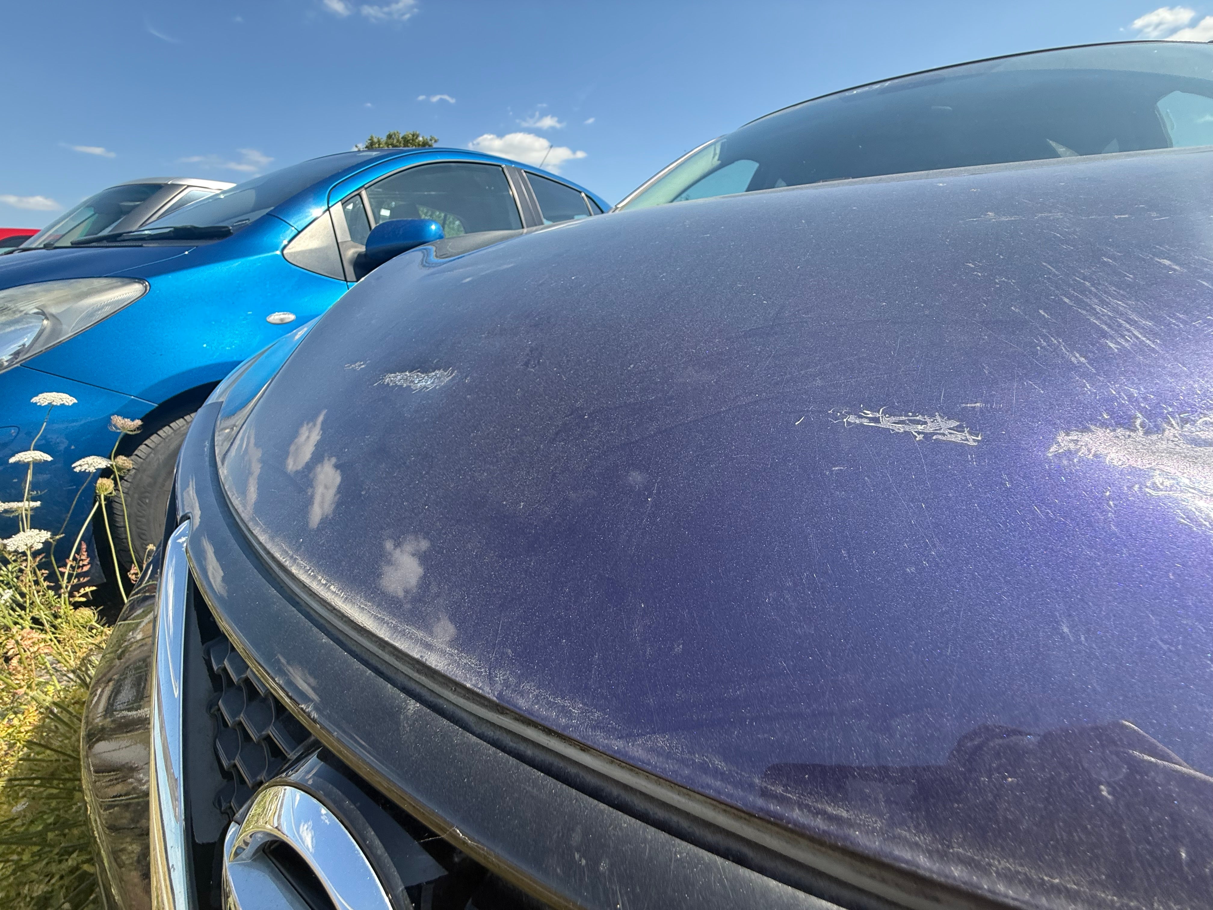 Nissan Pulsar 2014–2018 Bonnet - Colour Code: RBR Cosmic Blue