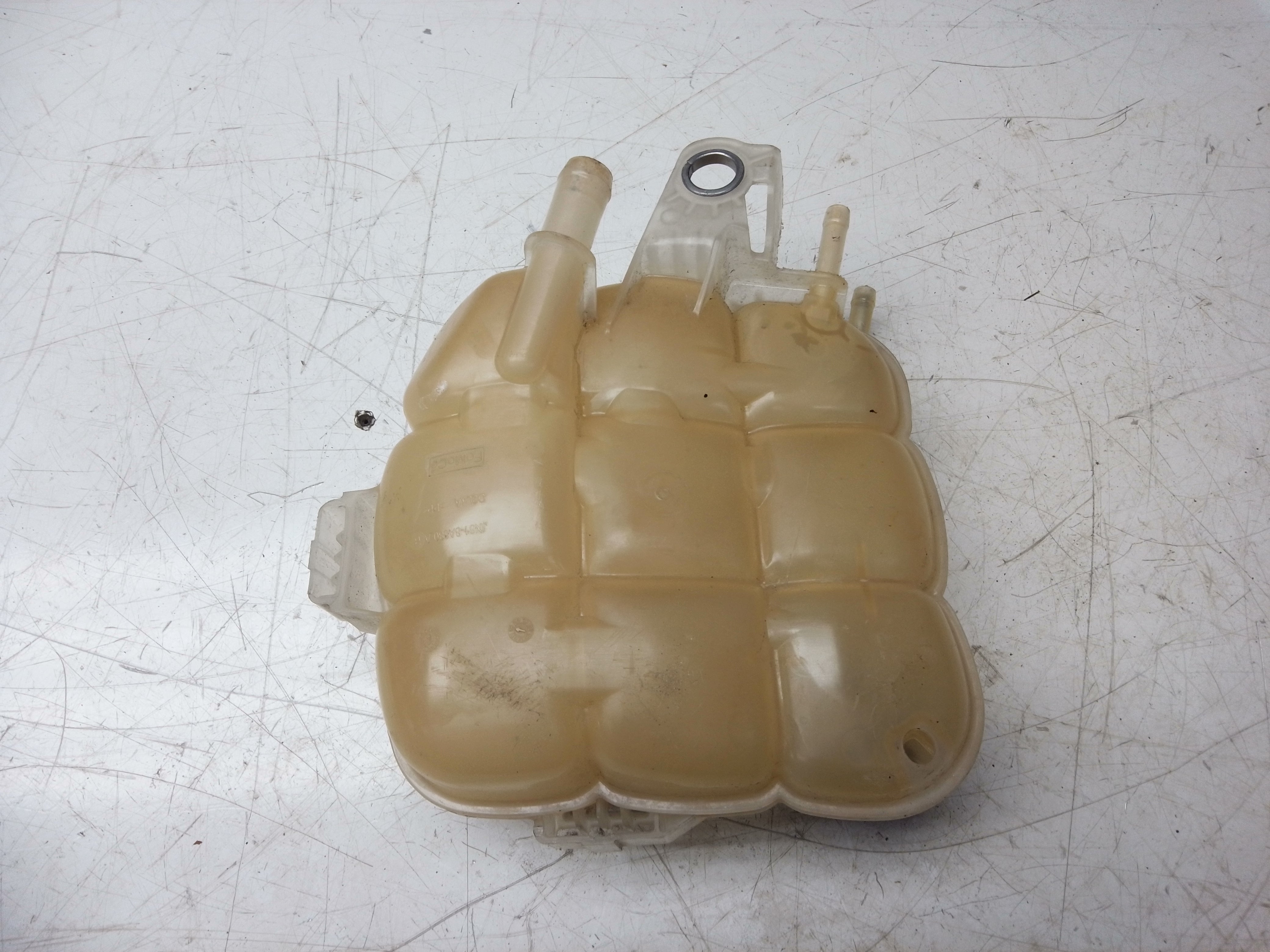 Ford Focus 2019–2022 Expansion Overflow Bottle (JX61-8A080-AB)
