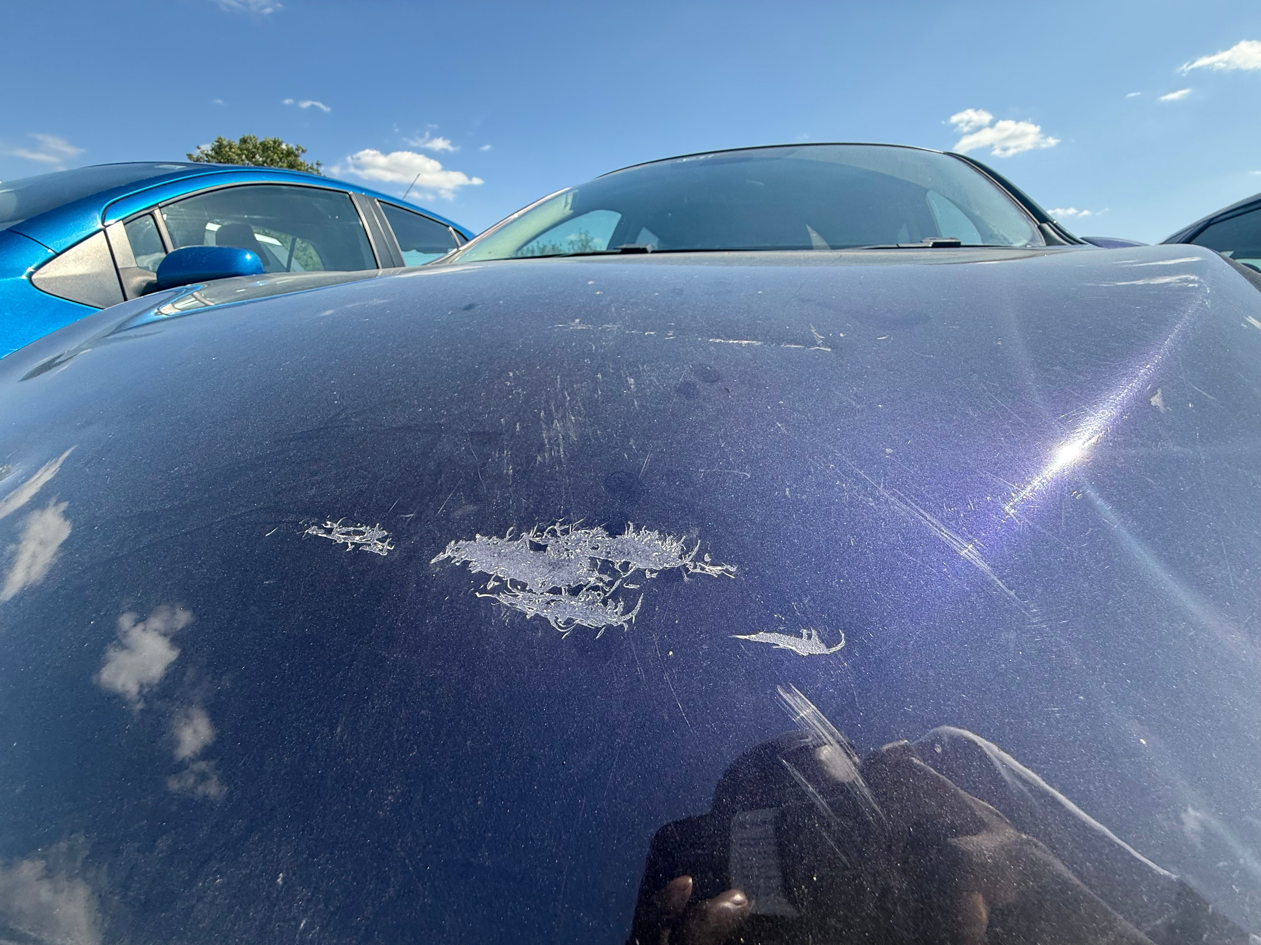 Nissan Pulsar 2014–2018 Bonnet - Colour Code: RBR Cosmic Blue