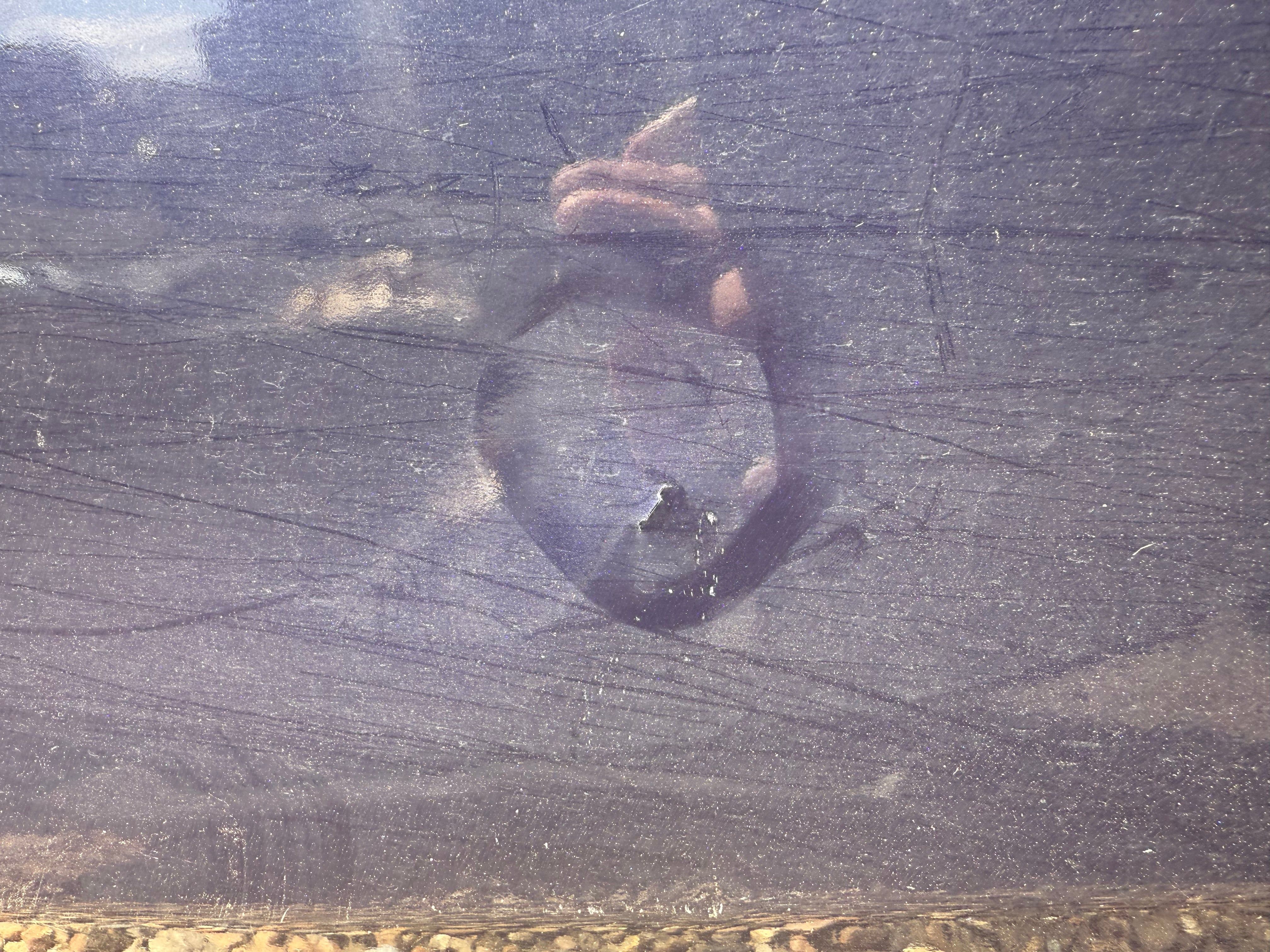 Nissan Pulsar 2014–2018 N/S/R Left Rear Door – Colour Code: RBR (Blue)