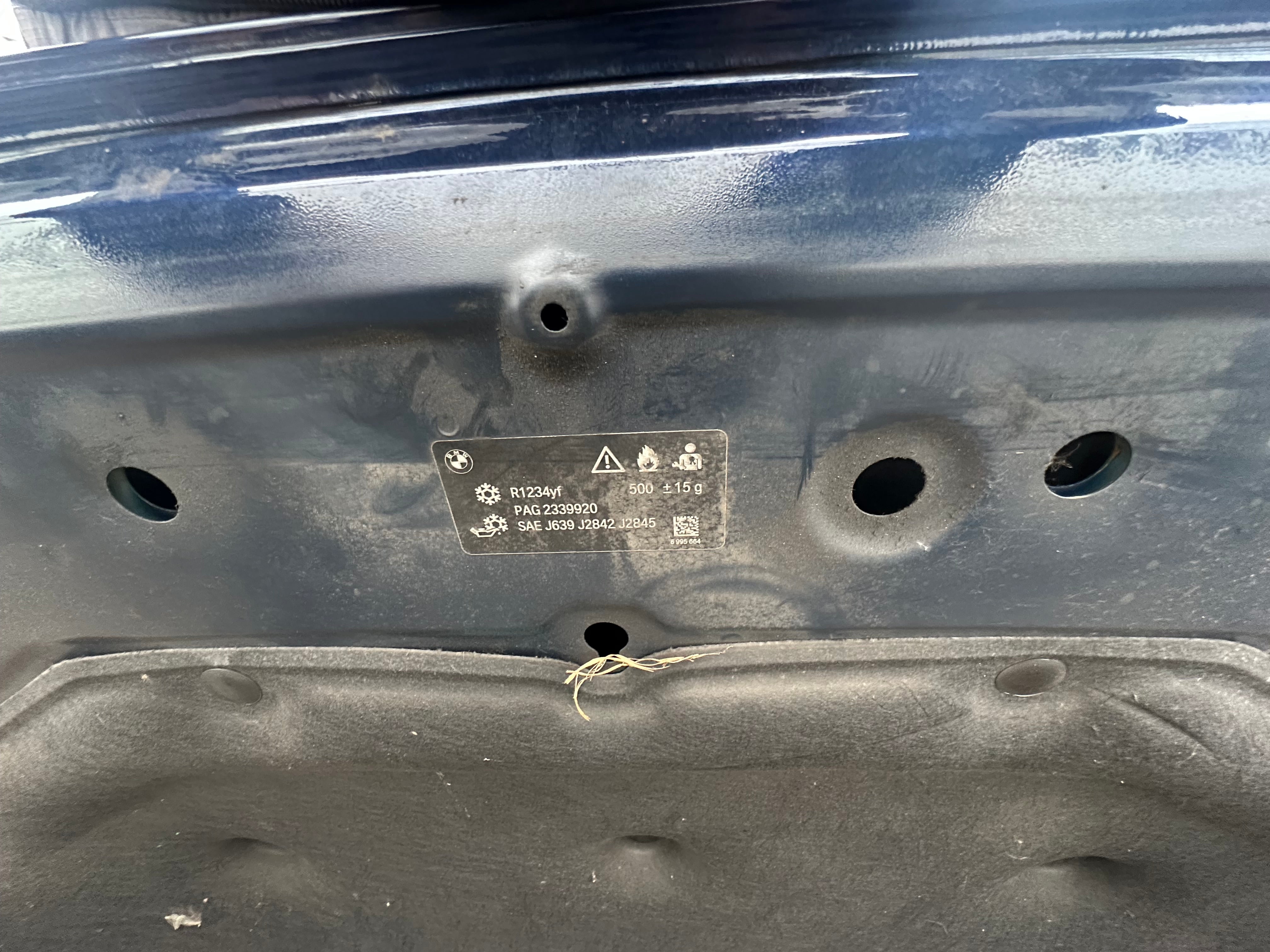 BMW 2 Series F46 Bonnet (C10)