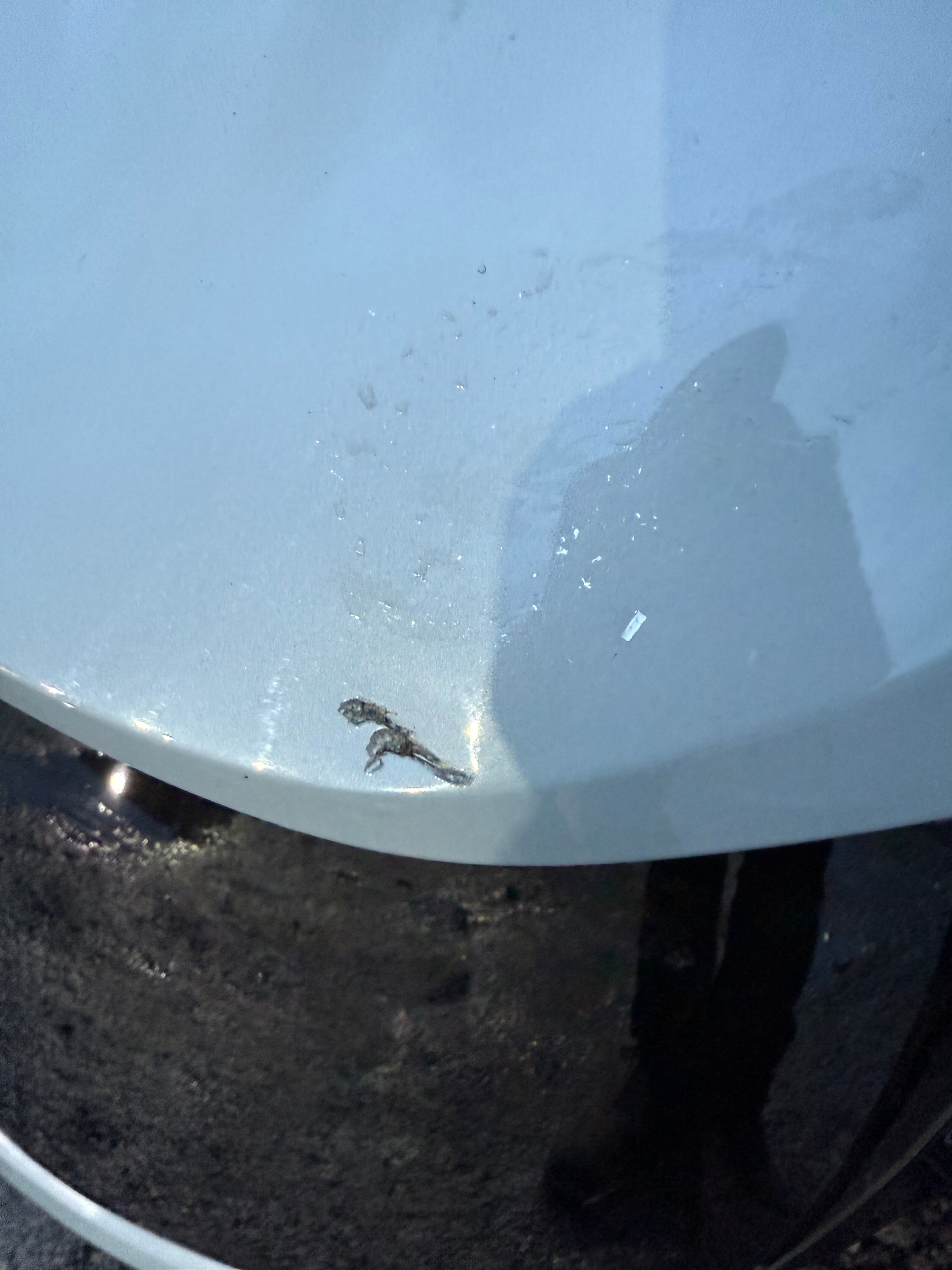 Toyota Corolla Hatchback 2021 Tailgate