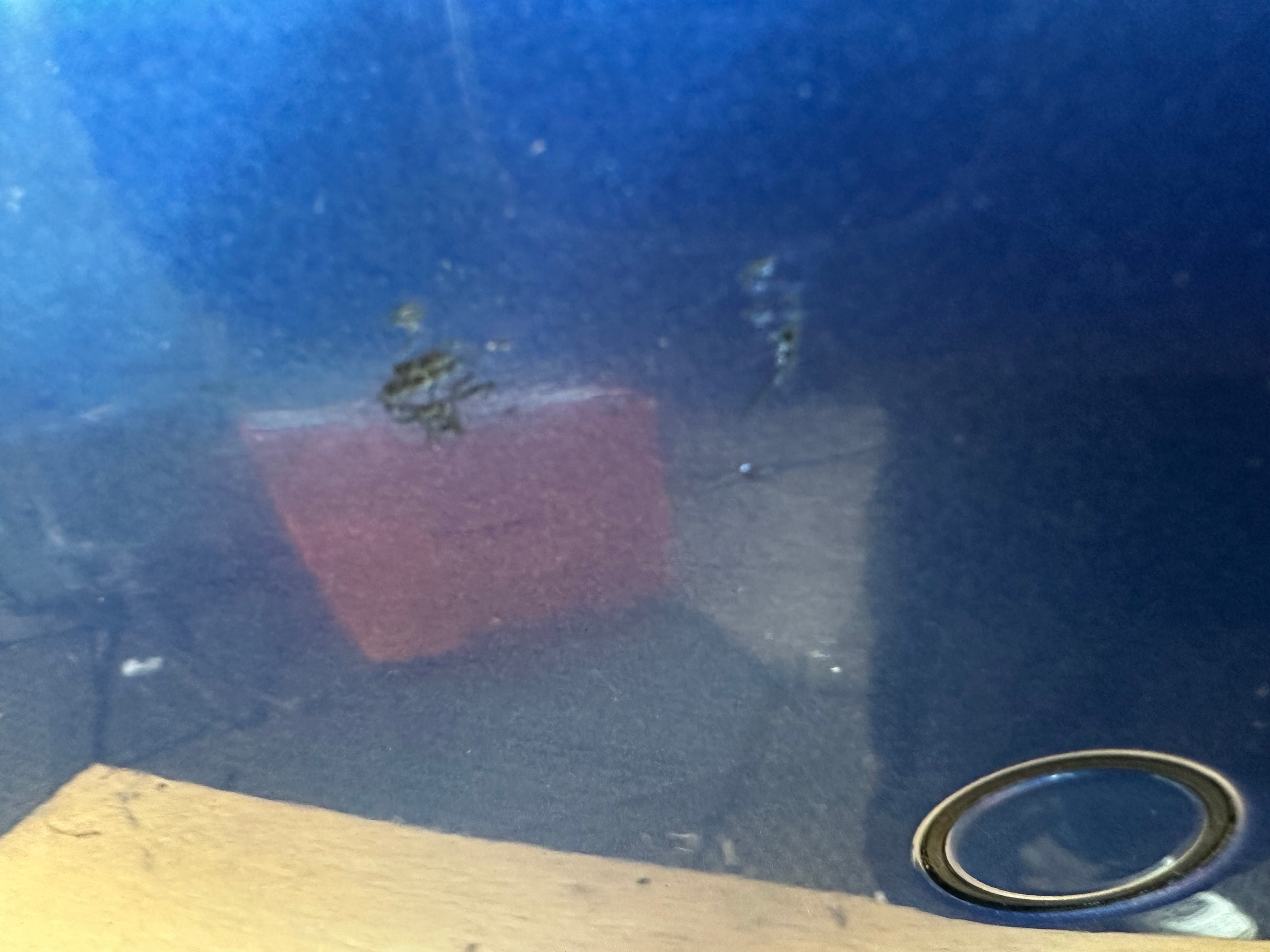 BMW 4 Series F32 / F33 / F36 M Sport Rear Bumper