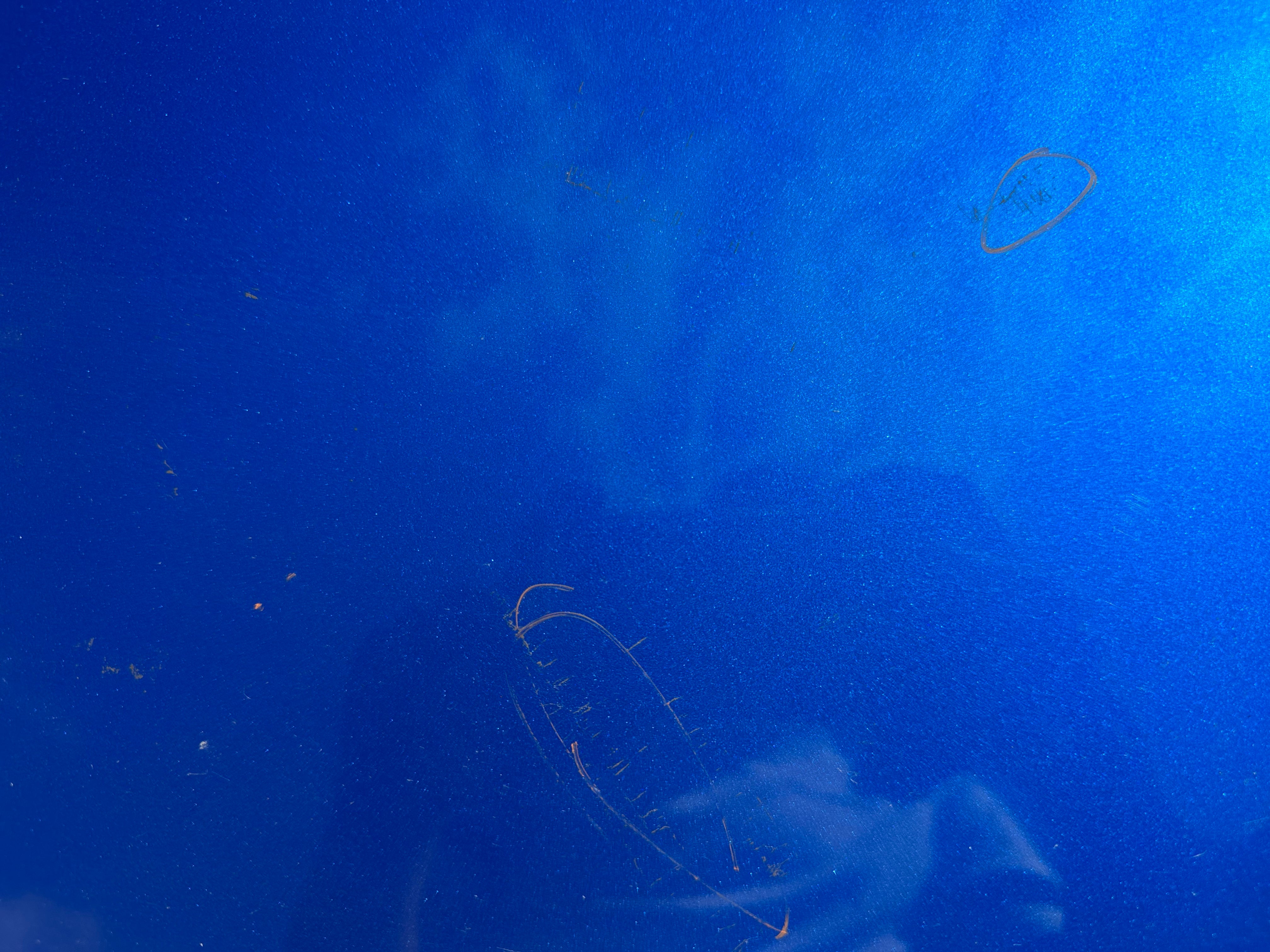 Nissan Qashqai 2022 Complete Tailgate / Bootlid