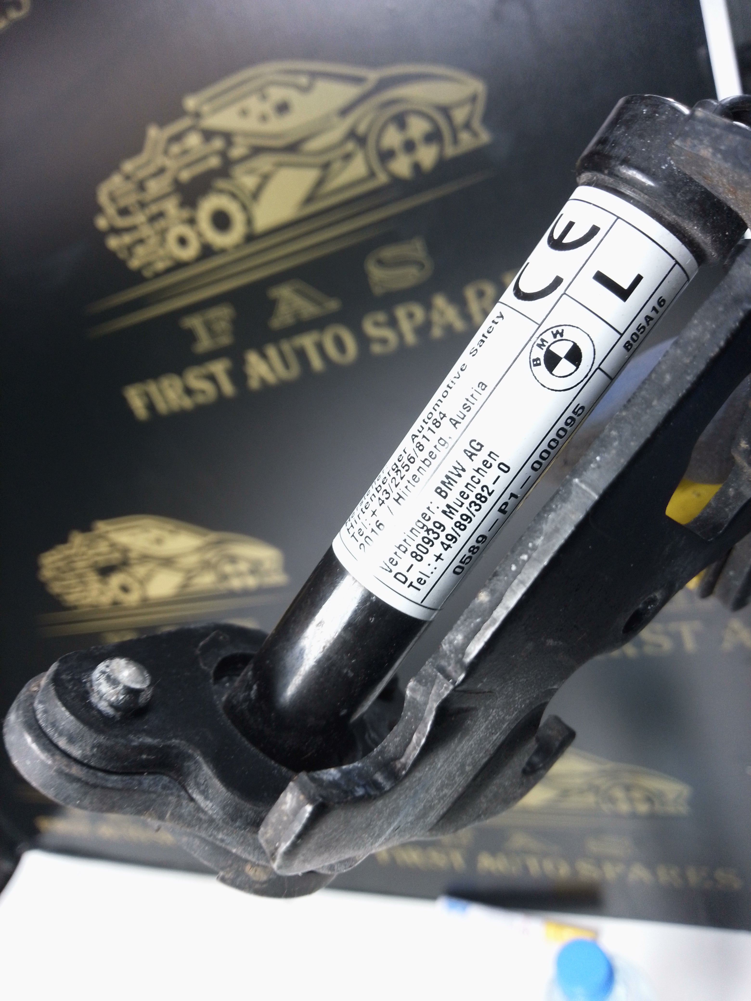 BMW X5 F15 Hinges (7294529) (7294530) with Actuators (0589-P1-000095)